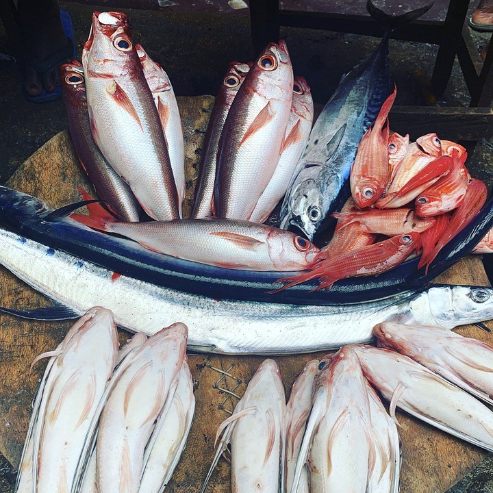 Fish, Market, Seafood, Fresh, Healthy, Sailfish