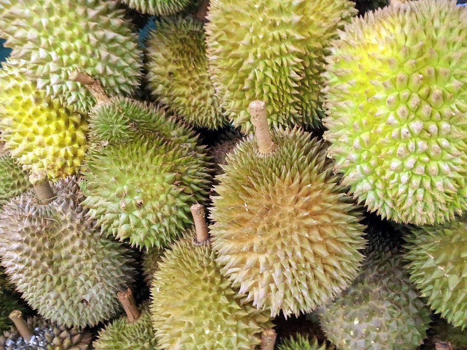 Singapore, Durian, Fruit, Juicy, Food, Ripe, Healthy