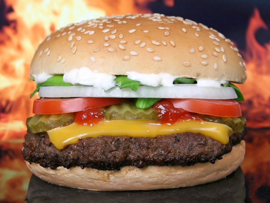 Hamburger - Statele Unite